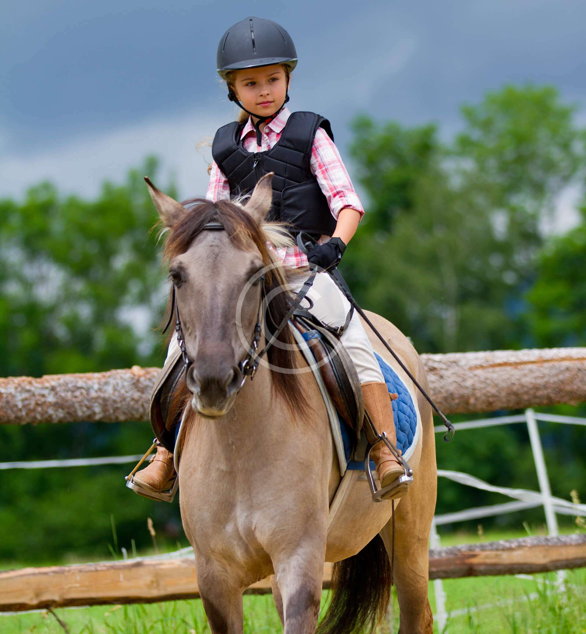 Horse Riding